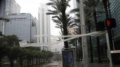 Un museo de Miami instala un sistema contra las inundaciones por huracanes