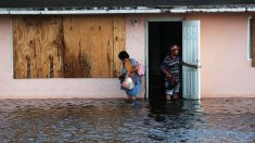 10 muertos y 13 millones de personas sin electricidad en Estados Unidos por Irma