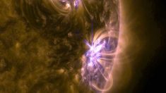 Fuertes explosiones solares: ¿qué le está pasando al Sol?
