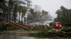 Luego de su paso por Miami, el huracán Irma azota la bahía de Tampa