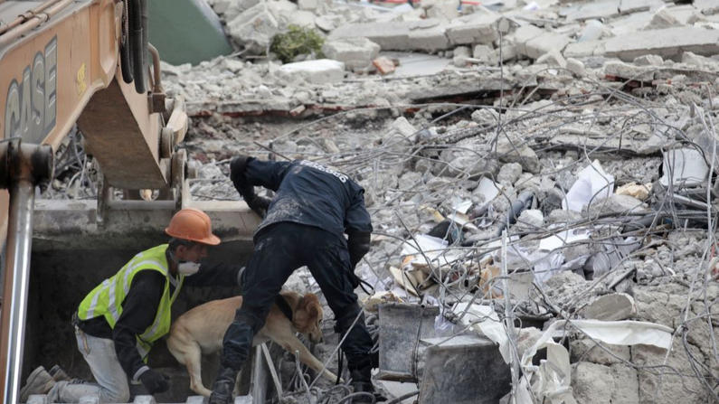 Los rescatistas con un perro rastreador buscan sobrevivientes enterrados bajo los escombros de un edificio aplastado por un terremoto de magnitud 7.1 en la Ciudad de México el 19 de septiembre de 2017.  Imagen Ilustrativa. (Diana Ulloa/AFP/Getty Images)
