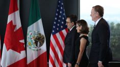 México sostiene que hay que «modernizar» el TLCAN