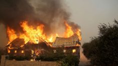 Demuestran como grandes mantas contra el fuego pueden salvar su casa ante un incendio forestal