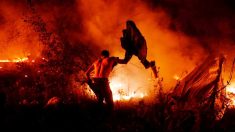 Arde Galicia con más de 105 incendios intencionales: esta es la situación actual