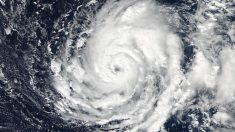 Rina, la tormenta tropical de la temporada N°17 se ha formado en el Atlántico