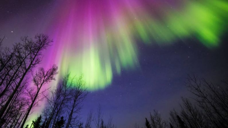 Alaska es uno de los destinos predilectos para observar las auroras boreales, luces danzantes del Norte. (Sebastian Saarloos-NASA)