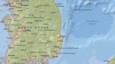 Un terremoto de magnitud 5.4 golpea la costa oriental de Corea del Sur