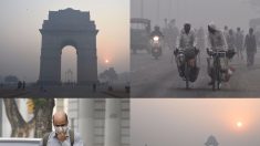 Los residentes de Delhi amanecieron en pánico por el regreso del “smog mortal”