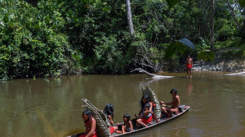 Amazonia, Brasil-Imagen de contexto. (Foto APU GOMES/AFP/Getty Images))