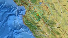 134 pequeños terremotos sacudieron a California en solo una semana