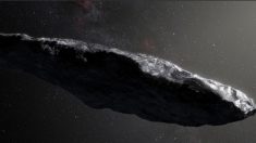 Científicos revelan la verdad de Oumuama, el asteroide interestelar que pasó cerca de la Tierra