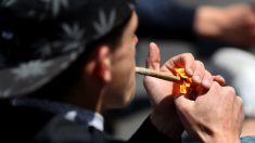 Registran la primera muerte por sobredosis de marihuana sin consumo de otras drogas
