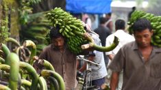 Las claves de la identidad económica dominicana