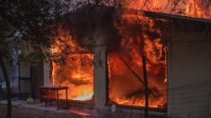 Entró en pánico al ver que su casa ardía en llamas, pero ¿quién ayudó? «Es mi pequeño héroe»