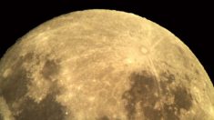 Fotógrafo reveló cuáles son los colores de la Luna ocultos por el reflejo del Sol