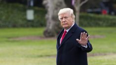 Trump tuitea foto de ‘CNN aplastado» bajo su pie