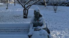 Paramédicos reciben llamada de una mujer cubierta de nieve, al llegar descubren que algo estaba mal