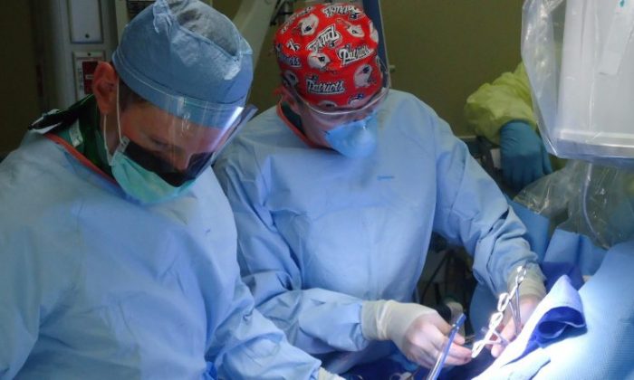 Stock photo of surgeons in the OR, performing a surgical procedure. (CC0)