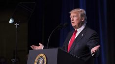 Trump evalúa ‘multa’ por el robo de propiedad intelectual en China