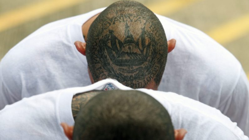 Miembros de las pandillas MS-13 y Barrio 18 encarcelados en El Salvador el 9 de agosto de 2017. (MARVIN RECINOS / AFP / Getty Images)