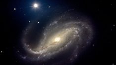 Científicos proponen que cada objeto del universo tiene conciencia