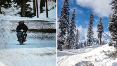 Maravillosos paisajes invernales: mira estas imágenes con la majestuosidad de la naturaleza