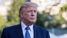 Trump sale al paso de nuevas ‘noticias falsas’: esta vez sobre el ‘Caos en la Casa Blanca’
