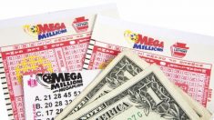 Encuentra un viejo boleto de la lotería al hacer la limpieza y recibe USD 1,8 millones