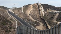 Remolque de caballos con inmigrantes ilegales volcó cerca de la frontera de California