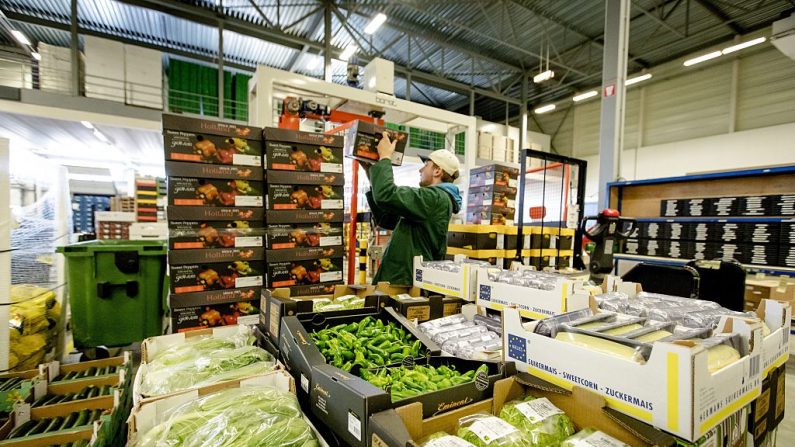 Las cajas de frutas y verduras están listas para la exportación. El gobernador de Guanajuato, Miguel Márquez, aseguró que el mercado holandés es "la gran oportunidad". AFP / ANP / Robin van Lonkhuijsen / Netherlands OUT (Foto: ROBIN VAN LONKHUIJSEN/AFP/Getty Images)