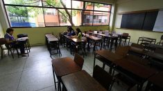 Estudiantes y docentes abandonan las universidades en Venezuela (Video)