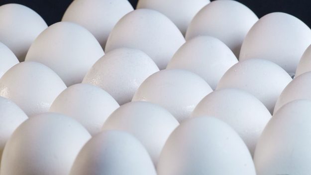 EE. UU. retira 200 millones de huevos contaminados por Salmonella