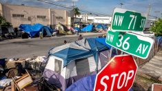 Policía de Miami desaloja sin incidentes campamento de delincuentes