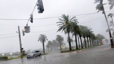 El sur de Florida se halla bajo advertencia de inundaciones