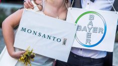 EEUU fuerza a Bayer a deshacerse de parte de su negocio para comprar Monsanto