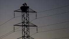 El precio de la electricidad en los hogares españoles bajó un 4,7 % en 2017