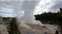 Poderoso géiser de Yellowstone muestra comportamiento inusual