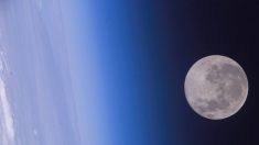 Astrónomo filma la Estación Espacial Internacional pasando sobre la Luna