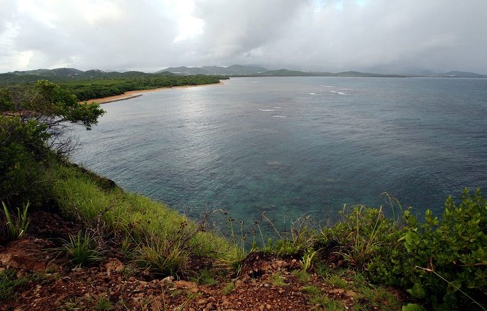 Cámara P.Rico aprueba ordenar no vender o alquilar ninguna Reserva Natural
Vista de la franja costera del Corredor del Noroeste, localizado en los municipios de Luquillo y Fajardo, y forma parte del último segmento de la Sierra de Luquillo y une el Bosque Nacional El Yunque y la Reserva Natural Las Cabezas de San Juan. EFE/Archivo