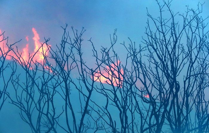 Imagen de archivo de un incendio forestal en "Ute Park Fire" al noreste de Nuevo México ha motivado hoy la emisión de órdenes de evacuaciones de zonas pobladas por el riesgo que supone el fuego, que hasta el momento cubre un área de 16.500 acres. EFE/Archivo
