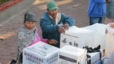 La UE expresa preocupación por violencia en México durante proceso electoral