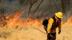 Miles de evacuados por los fuegos que asolan el oeste de EE.UU.