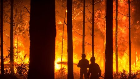 Los grandes incendios se incrementaron en un 200 % en España en 2017