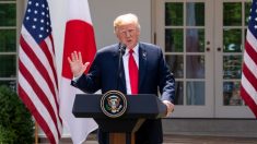 Trump pide readmitir a Rusia en el G-7