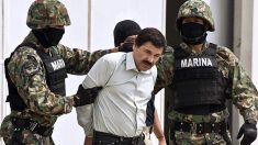 «El Chapo» no se declarará culpable ni cooperará, dice su defensa