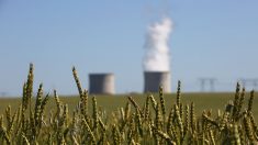 Trump ordena a Departamento Energía que ayude a plantas a carbón y nucleares en problemas