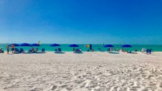 Las playas de Florida, un imán para turistas
