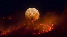 Evacúan casas por la furia de incendio forestal en páramos británicos