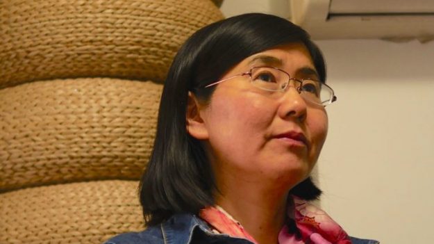Entrevista con la abogada china de Derechos Humanos Wang Yu sobre luchar por una causa correcta
