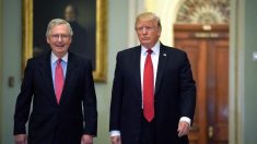 Senado de EE. UU. anulará receso de agosto para aprobar nómina de Trump y proyectos de ley de gastos